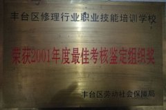 骚逼女人我要操你